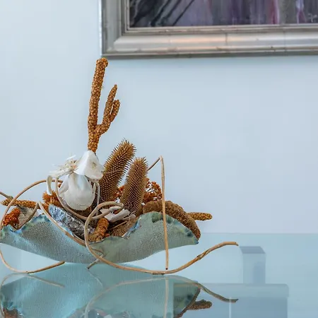 Minimal Ref 9000 Кан-Пікафорт